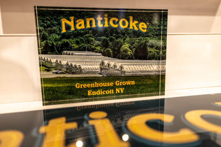 Nanticoke promotion