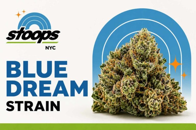 Blue Dream strain at Stoops NYC